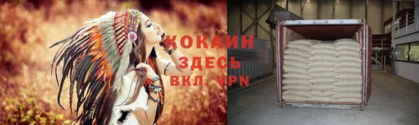 шишки Алексин