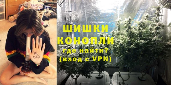 шишки Алексин