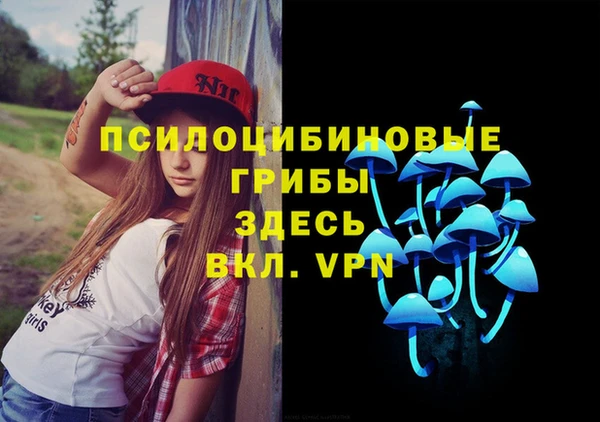 герыч Алексеевка
