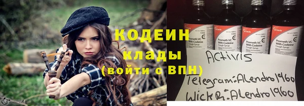 шишки Алексин