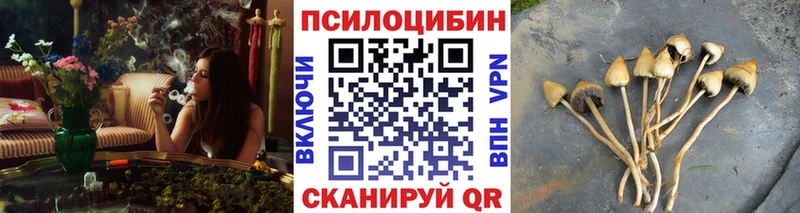дарнет шоп  Шлиссельбург  Галлюциногенные грибы Magic Shrooms 